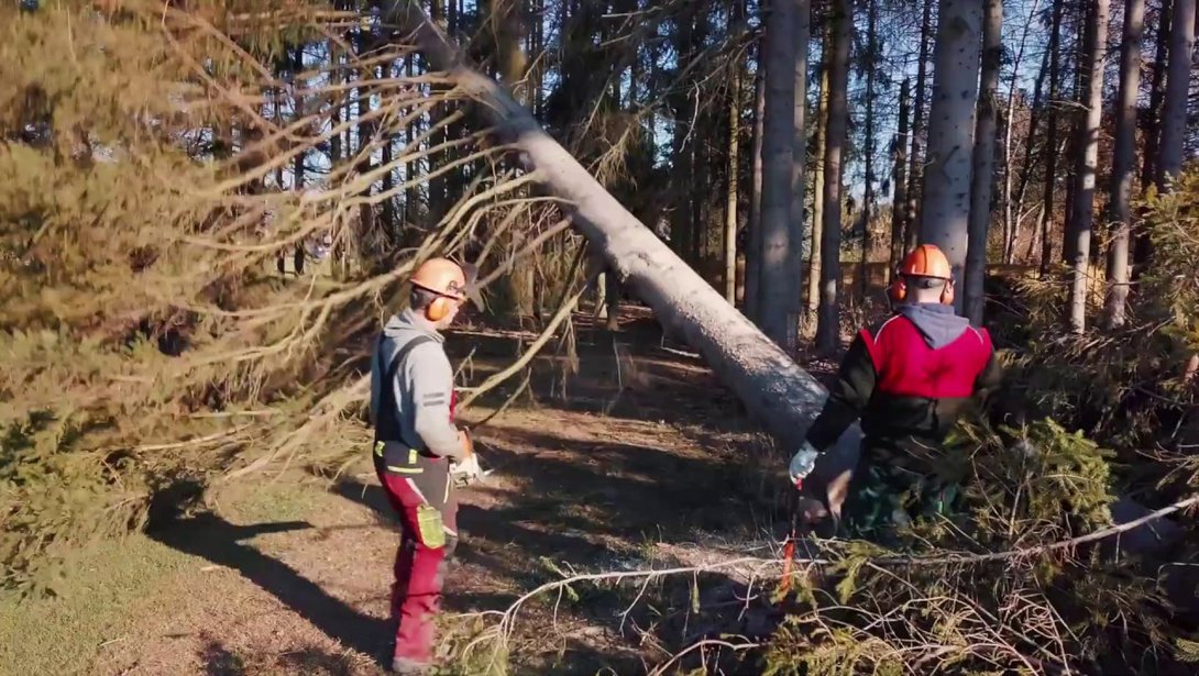 Hans Kinze Forst- und Rodungsbau in Hemer